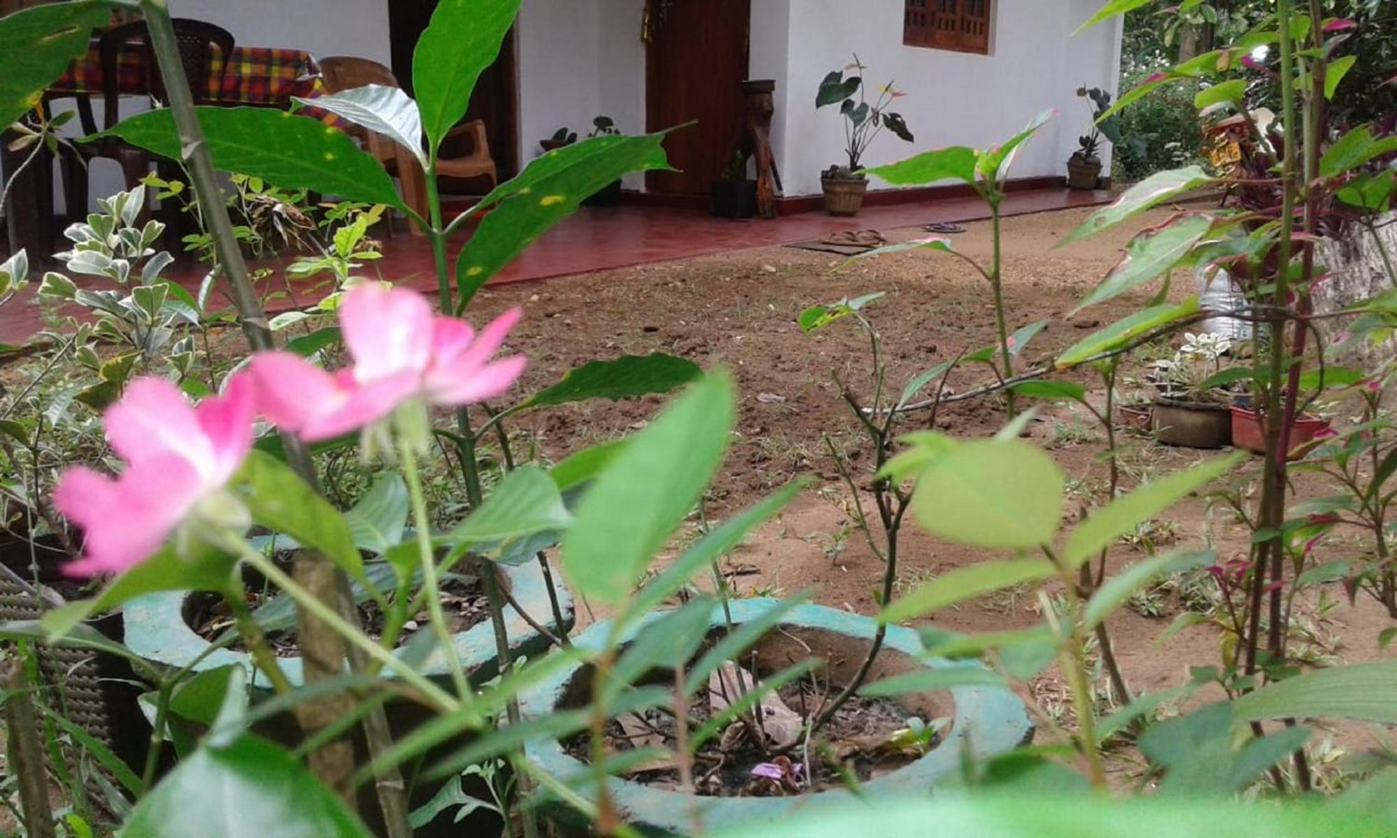 Winstar Homestay สิกิริยา ภายนอก รูปภาพ