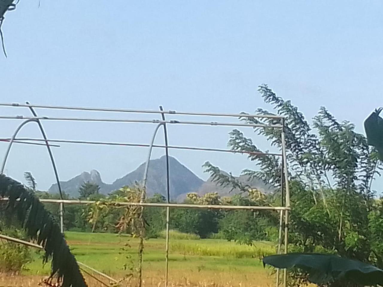 Winstar Homestay สิกิริยา ภายนอก รูปภาพ
