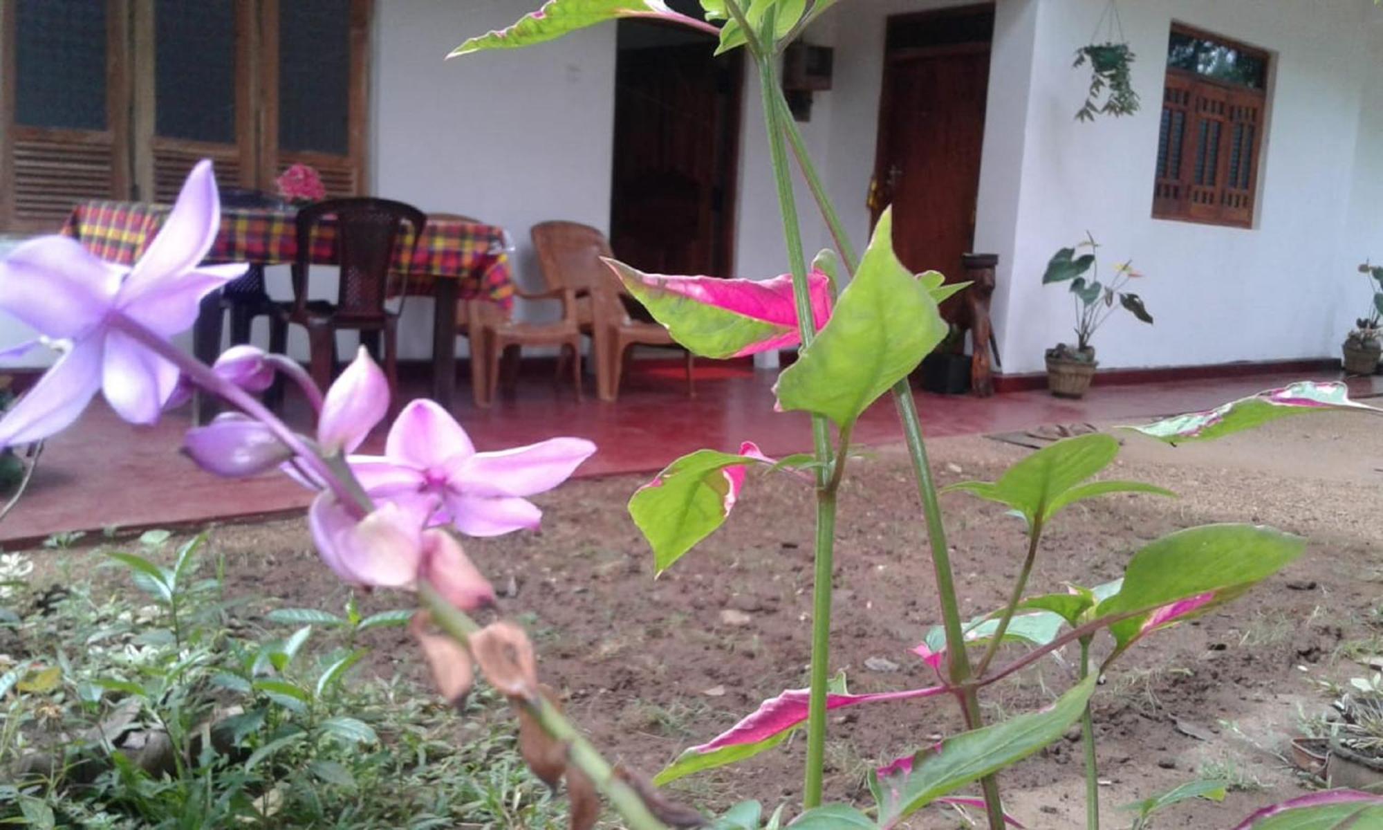 Winstar Homestay สิกิริยา ภายนอก รูปภาพ