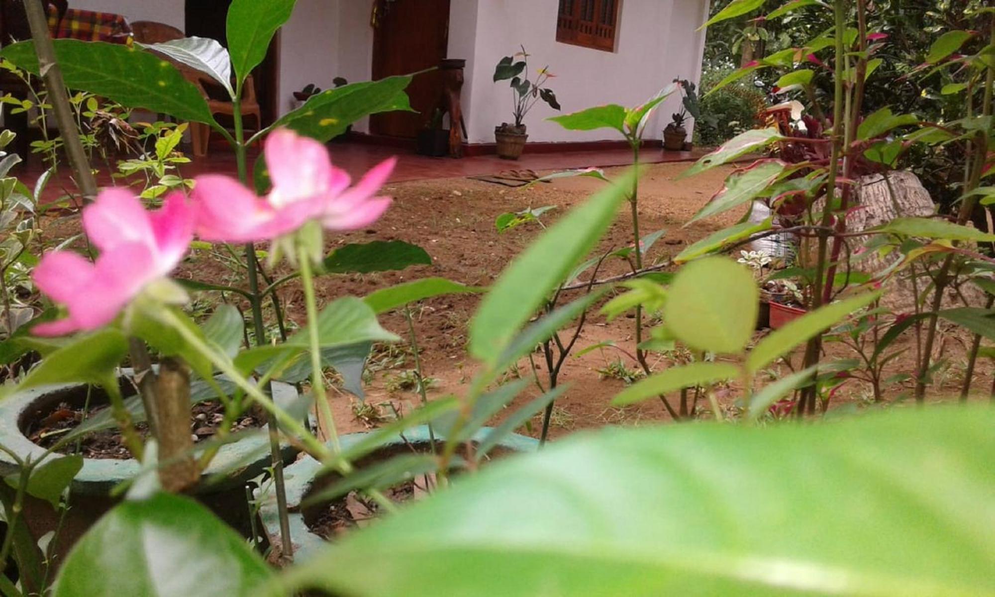 Winstar Homestay สิกิริยา ภายนอก รูปภาพ